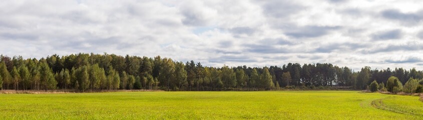 Landscape panorama of meadow with green grass and trees and blue cloudy sky
