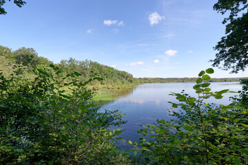 Fototapeta na wymiar Guiperreux pond in Rambouillet forest