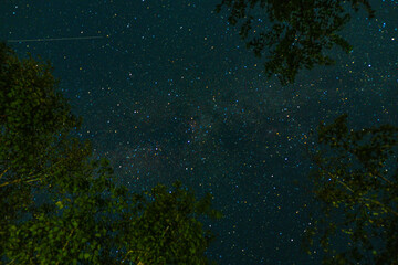 water, nature, night, sky, light, stars, tree, underwater, wallpaper, texture, star, christmas, backgrounds, illustration, sun, space, dark, pattern, bright, plant, lake, river, motion, ocean, forest