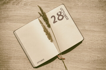 october 28. 28th day of month, calendar date.Blank pages of notebook are beige, with dried spikelets. Concept of day of year, time planner, autumn month.
