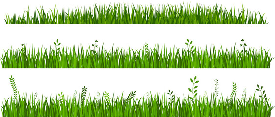Vector green Grass borders set on white background.