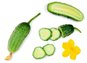 Cucumber and slices isolated on white background, top view