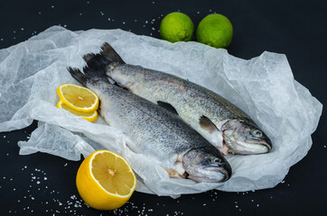 Raw whole trout on black background