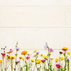 Frühlingsblumen