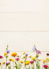 Frühlingsblumen