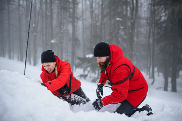 Fototapeta na wymiar Mountain rescue service on operation outdoors in winter in forest, digging snow with shovels.