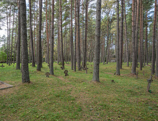 cemetery in vormis island estonia