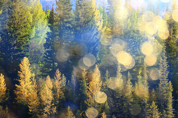 Fototapeta na wymiar abstract landscape background autumn sun glare defocus bokeh, view sun background