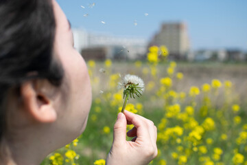 A young pregnant Asian woman blowing dandelion seeds near riverside on a sunny day