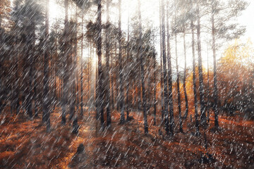 autumn landscape nature rain drops weather wet outdoor landscape view autumn weather