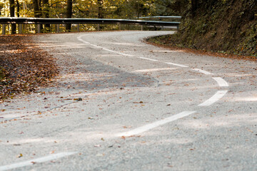 road in autumn