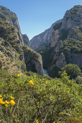 Permignano, Pesaro. Gola del Furlo, stretta sul fiume Cardigliano.
