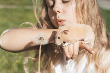 Girl with a hamster in nature. Cheerful happy child girl with pet hamster plays in the backyard of the house in summer. Love, care, tenderness concept. - obrazy, fototapety, plakaty