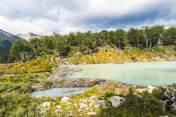 Foto op Plexiglas Beaver dam on a track to Laguna Esmeralda in Tierra del Fuego © Fyle