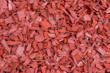 Shredded red wood chips fragments as red woodpath with timber shavings and recycled and renewable mulching compost shows rough surface with natural red background of mulched chippings of woodpile