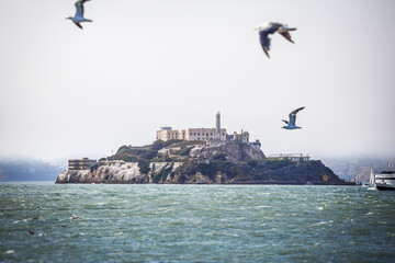 The island of Alcatraz in the San Francisco bay, with the prison and seagulls flying by