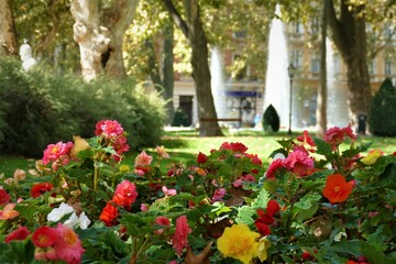 Fototapeta na wymiar City park Zrinjevac with flowers, fountain and trees