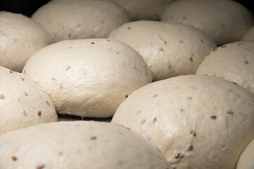 The uncooked round buns of dough are placed on a metal tray. Hamburger bun dough