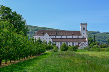 Fototapeta na wymiar Mariastein, Kloster, Landwirtschaft, Felder, Obstbäume, Wanderweg, Spazierweg, Kloster Mariastein, Dorf, Obstbauer, Sommer, Schweiz