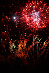 Fototapeta na wymiar Colorful fireworks in a night sky.