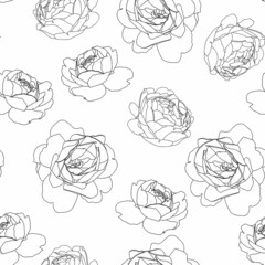 Line roses flower silhouette pattern , seamless repeatable texture wallpaper on white background.