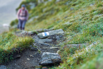 Anonymous hiker on a trail