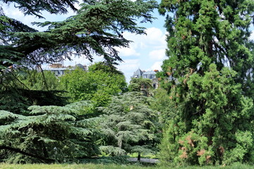 Immeubles parisiens et arbres vus du parc des Buttes-Chaumont. Paris.