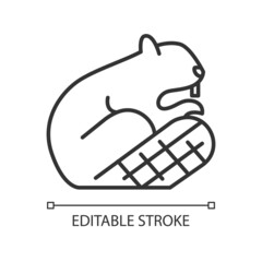 Beaver linear icon. Symbol of sovereignty. Herbivore wild animal. Official emblem. Beaver dam. Thin line customizable illustration. Contour symbol. Vector isolated outline drawing. Editable stroke - obrazy, fototapety, plakaty