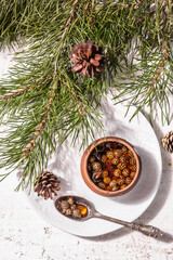Sweet pine cone jam. Traditional Siberian dessert, fresh evergreen branches