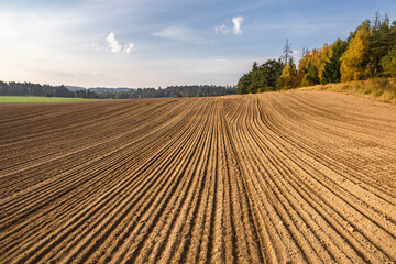 Fototapeta na wymiar Autumn rural countryside with ruts in plowed field