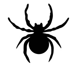 many legs and tentacles.  spider Black.  Halloween