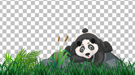 Panda on the grass field on transparent background