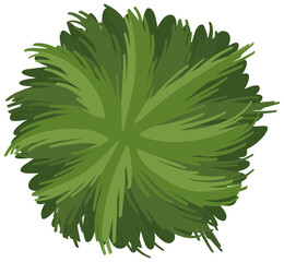Aerial view of a green bush isolated on white background