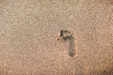 footprint of a child's foot on the sea sand, top view, copy space