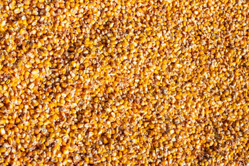 Bulk corn kernels. Peeled corn background. High quality photo