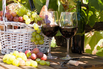 red wine ripe grapes and picnic basket on table in vineyard