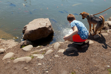 The boy and the dog are studying something in the water of the pond. The surface of the water sparkles with reflective sunlight