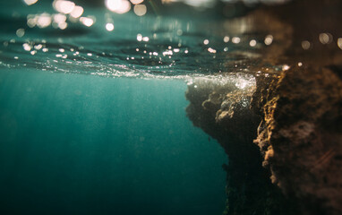 Underwater view of reef surface