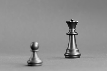 Black queen and black pawn. Chess. Photo