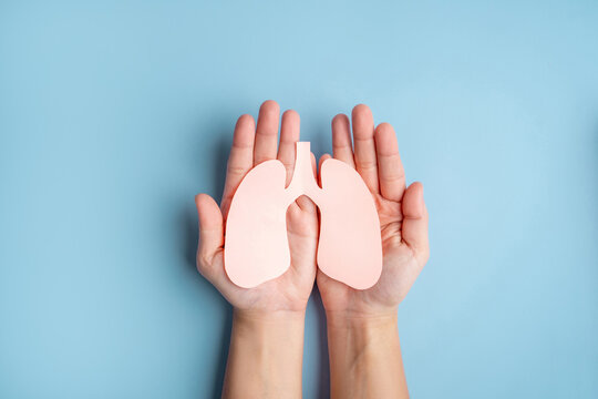 Human hands holding healthy lung shape made from paper on light blue background.