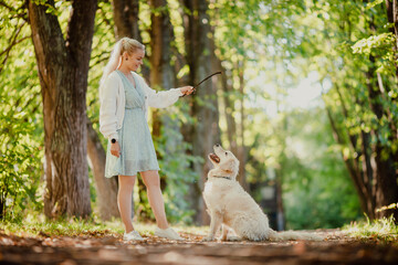 Young woman trains dog with golden retriever to follow command to sit and catch stick