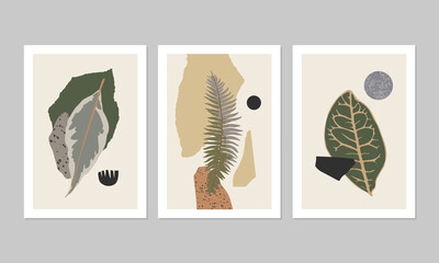 Set of minimalist abstract botanical illustrations. Interior decor in modern style. Contemporary aesthetic posters.