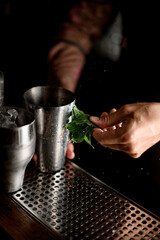 Fototapeta na wymiar close-up of male hand with wet green fresh mint leaves at the bar