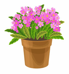 Naklejka na ściany i meble Spring colorful flowers in pots Vector plants for home and garden, potted plants