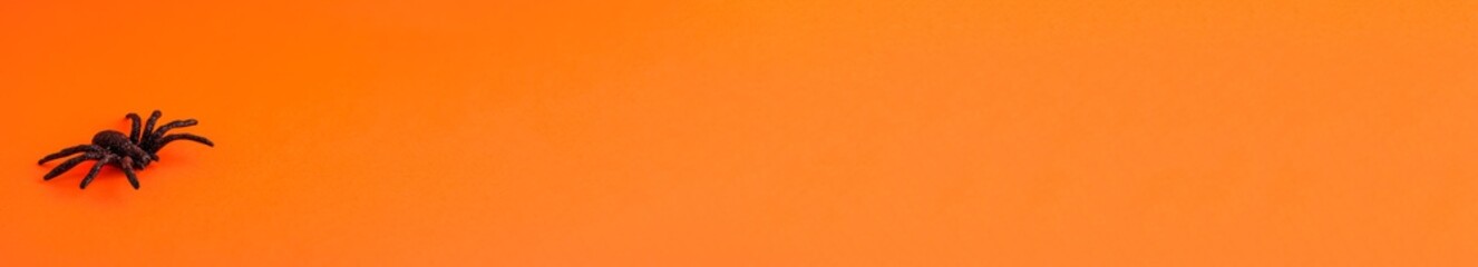 Flat lay banner of black horror spider on orange on the left backdrop with copy space. Halloween decoration spooky background concept for holidays