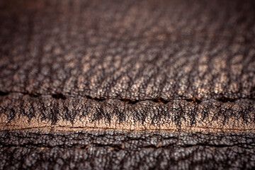 Fototapeta na wymiar Extreme closeup of a leather
