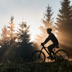 Silhouette of young man in cycling suit riding bicycle in forest illuminated by morning sunlight....