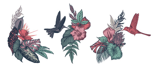 Vector compositions with tropical flowers, hummingbird, jungle palm, exotic leaves
