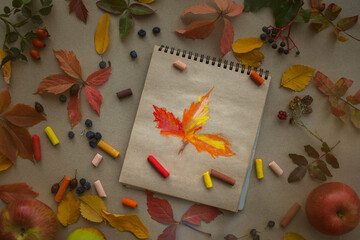 Autumn art flat layout drawing of leaves top view. Hobby