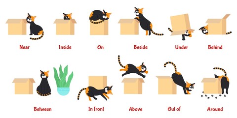 Preposition. Learning english prepositions with cute cat. Preschool educational poster with cartoon pet, language grammar study decent vector banner
